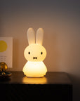 Mr Maria - Miffy Shines Light - BindleStore.
