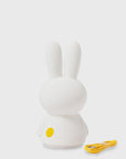 Mr Maria - Miffy Shines Light - BindleStore.