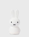 Mr Maria - Miffy Shines Light - BindleStore.