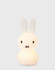 Mr Maria - Miffy Shines Light - BindleStore.