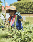 Niwaki - Kyuri Seeds Japanese Cucumber - BindleStore.
