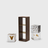 Sola Cube Display Case Desk Ornaments [Office & Stationery] Usagi no Nedoko    Deadstock General Store, Manchester