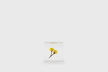 Immortelle Sola Cube Desk Ornaments [Office & Stationery] Usagi no Nedoko    Deadstock General Store, Manchester