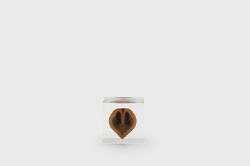 Japanese Walnut Sola Cube Desk Ornaments [Office & Stationery] Usagi no Nedoko    Deadstock General Store, Manchester