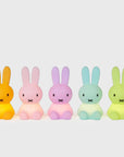 Miffy Colourful Surprise