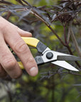 Mainichi Snips