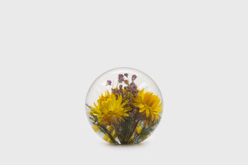 Helichrysum Paperweight [Large] Desk Ornaments [Office & Stationery] Hafod Grange    Deadstock General Store, Manchester