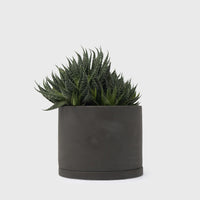 191 Plant Pot 135mm [Dark Grey] Plants & Pots [Homeware] KINTO    Deadstock General Store, Manchester