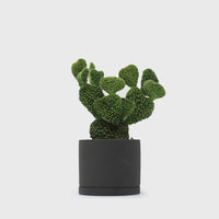 191 Plant Pot 85mm [Dark Grey] Plants & Pots [Homeware] KINTO    Deadstock General Store, Manchester