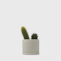 191 Plant Pot 85mm [Earth Grey] Plants & Pots [Homeware] KINTO    Deadstock General Store, Manchester