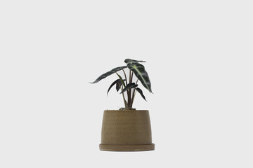 192 Plant Pot 110mm [Beige] Plants & Pots [Homeware] KINTO    Deadstock General Store, Manchester