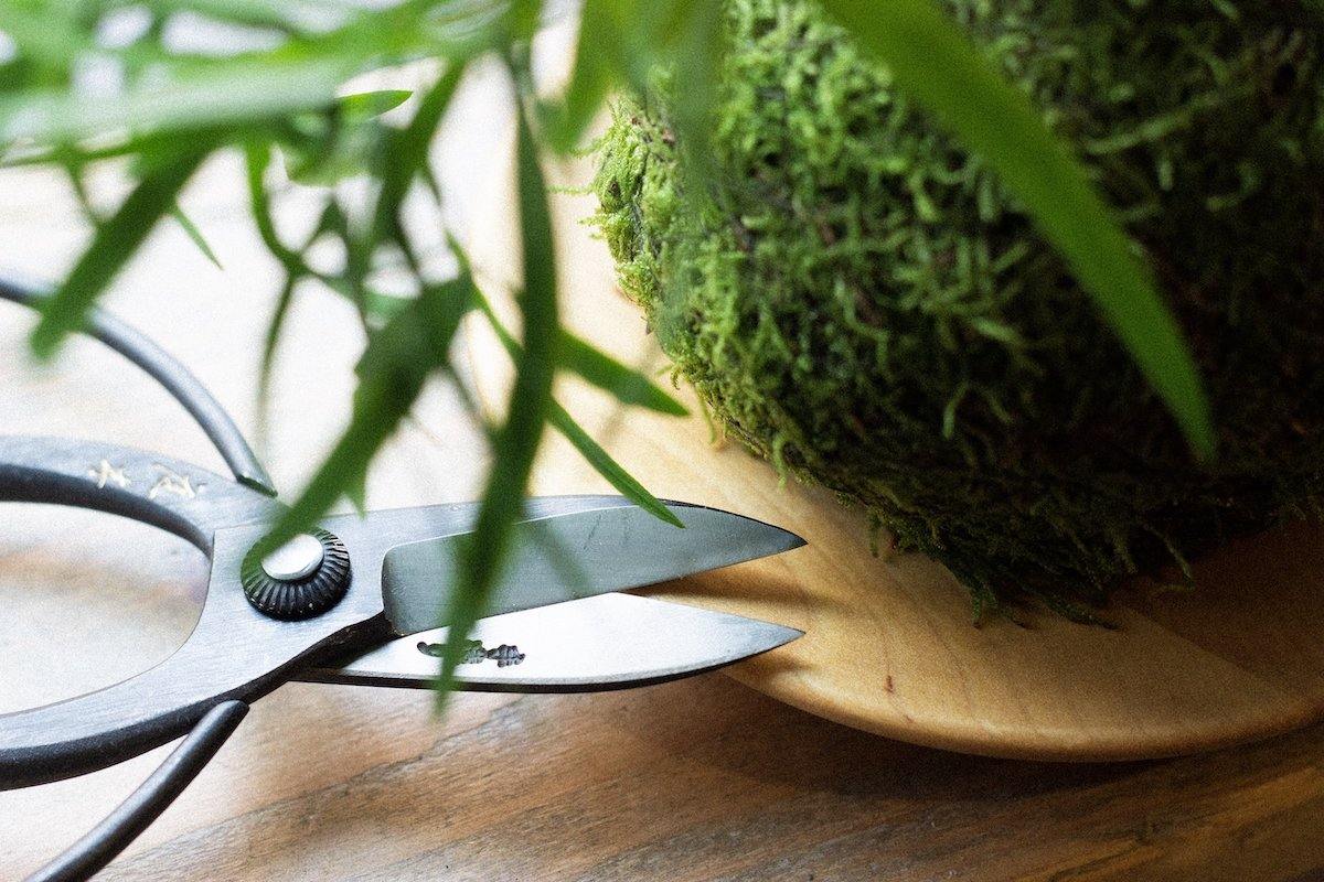Sentei Garden Scissors Gardening Niwaki    Deadstock General Store, Manchester
