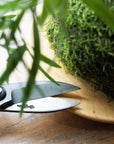 Sentei Garden Scissors Gardening Niwaki    Deadstock General Store, Manchester