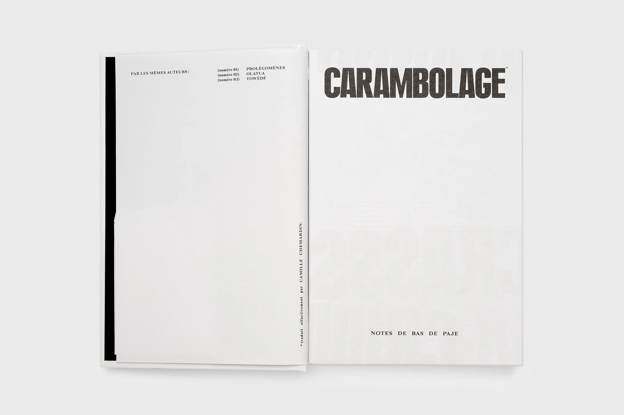 Notes de Bas de Paje - CARAMBOLAGE Extrait de Parfum - BindleStore.