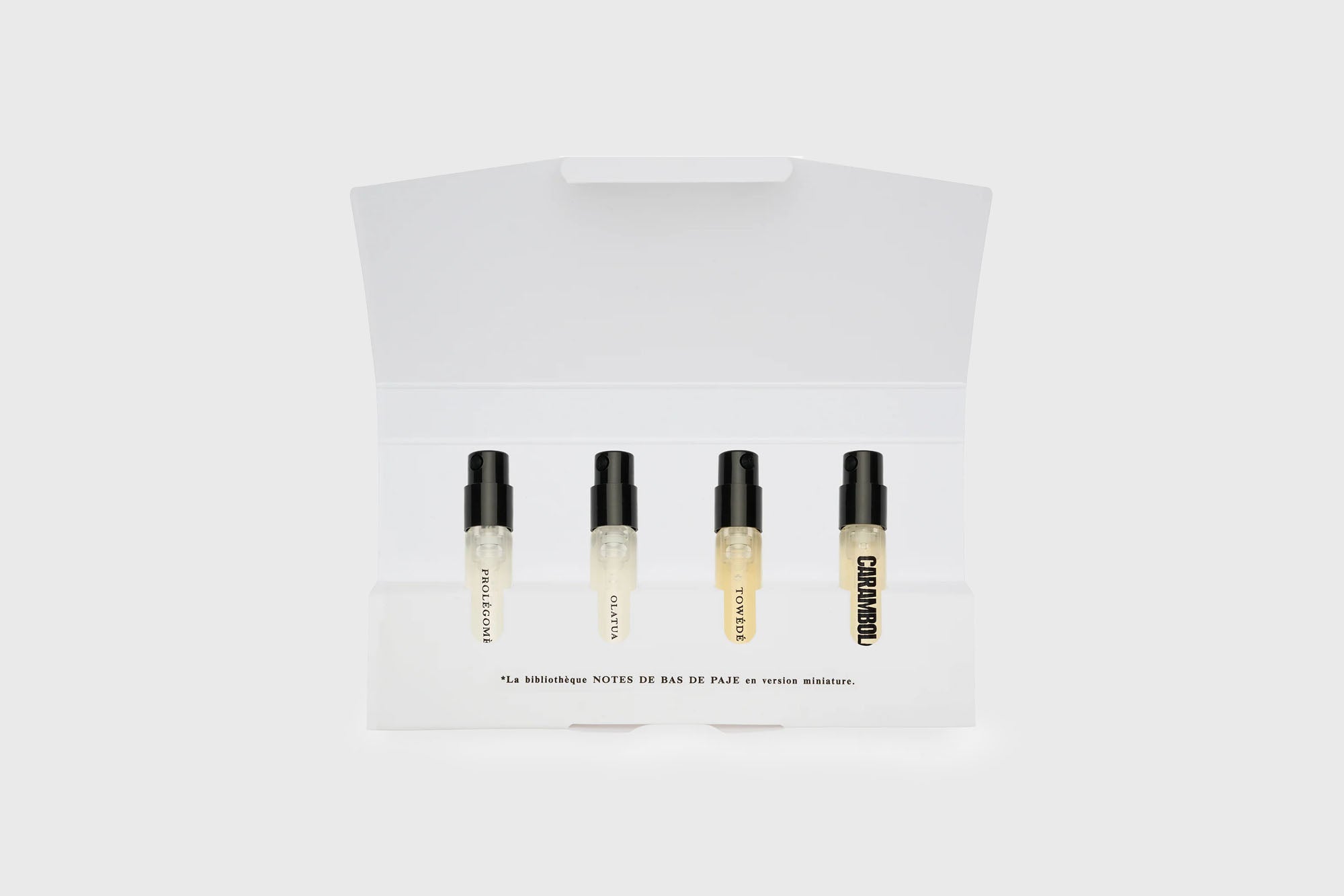 Notes de Bas de Paje - Discovery Set - BindleStore.