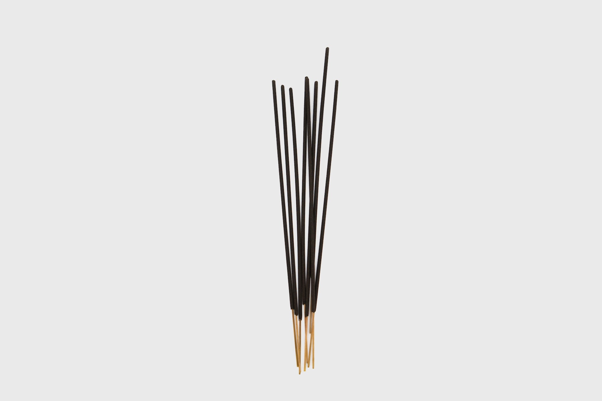 Charcoal Stick Incense [Black Fig] Candles & Home Fragrance [Homeware] P.F. Candle Co.    Deadstock General Store, Manchester