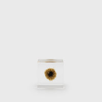 Usagi no Nedoko Sola Cube – Japanese Resin Paperweight – Basket Flower –  BindleStore. (Deadstock General Store, Manchester)