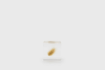 Usagi no Nedoko Sola Cube – Japanese Resin Paperweight – Bunny Tail Grass –  BindleStore. (Deadstock General Store, Manchester)