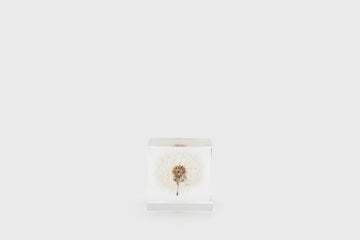 Usagi no Nedoko Sola Cube – Japanese Resin Paperweight – Dandelion –  BindleStore. (Deadstock General Store, Manchester)