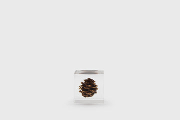 Usagi no Nedoko Sola Cube – Japanese Resin Paperweight – Karamatsu Pine Cone –  BindleStore. (Deadstock General Store, Manchester)