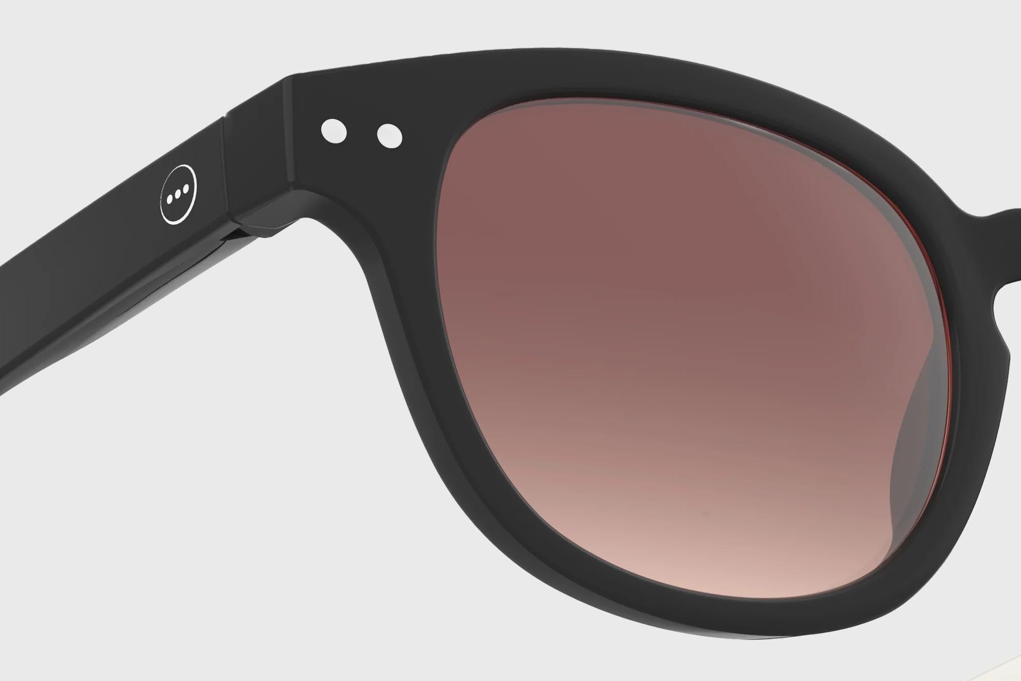 IZIPIZI - Type D Polarized Sunglasses [Black Road] - BindleStore.