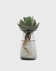 KINTO - Aqua Culture Vase [Large] - BindleStore.