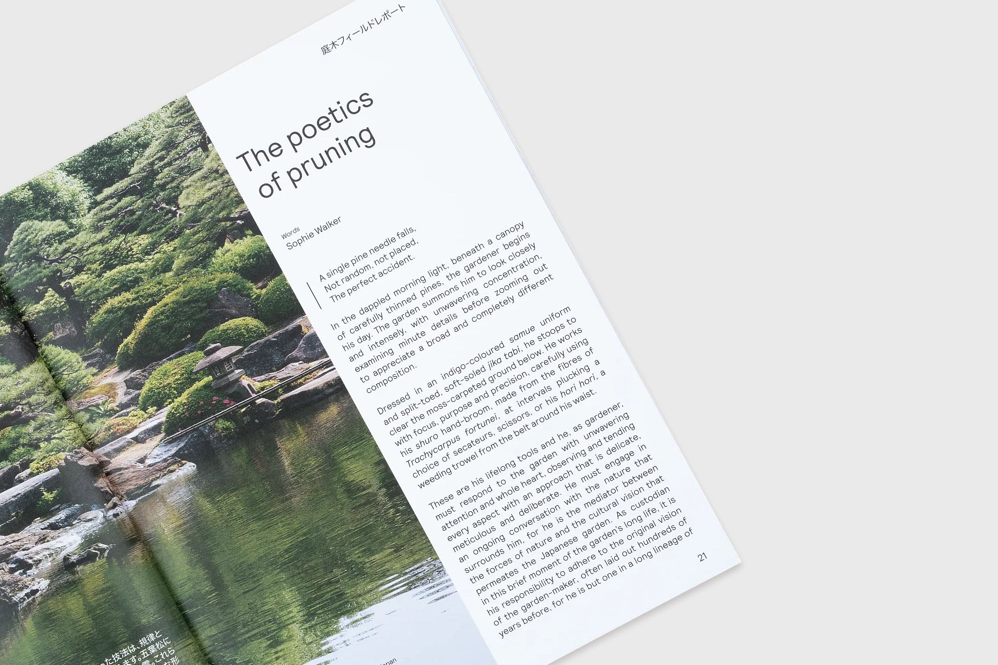 Niwaki - Niwaki Field Report No.2 - BindleStore.