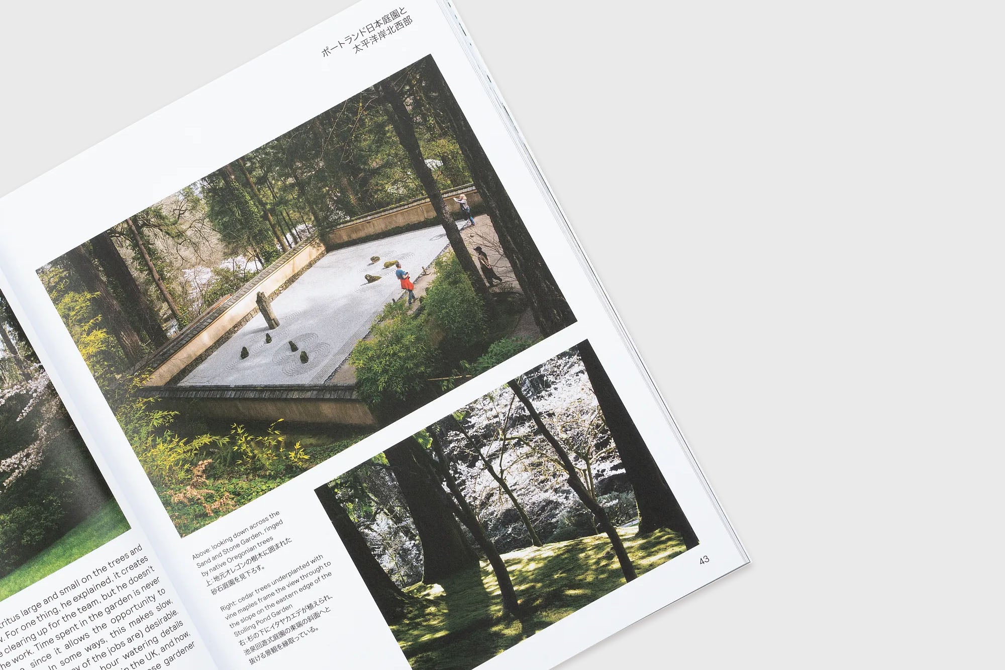 Niwaki - Niwaki Field Report No.2 - BindleStore.