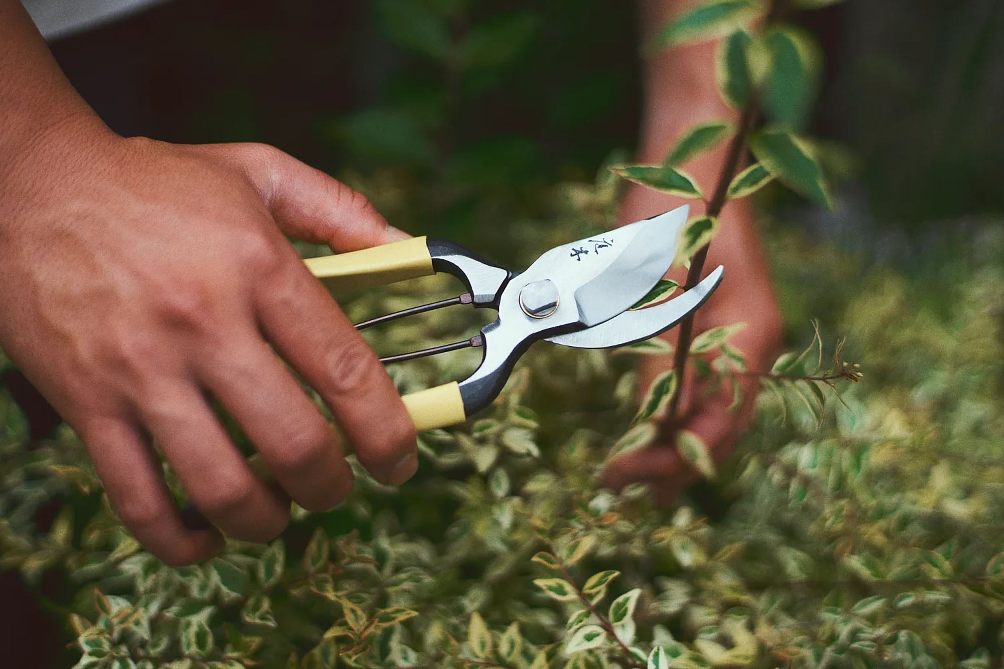 GR Pro Secateurs