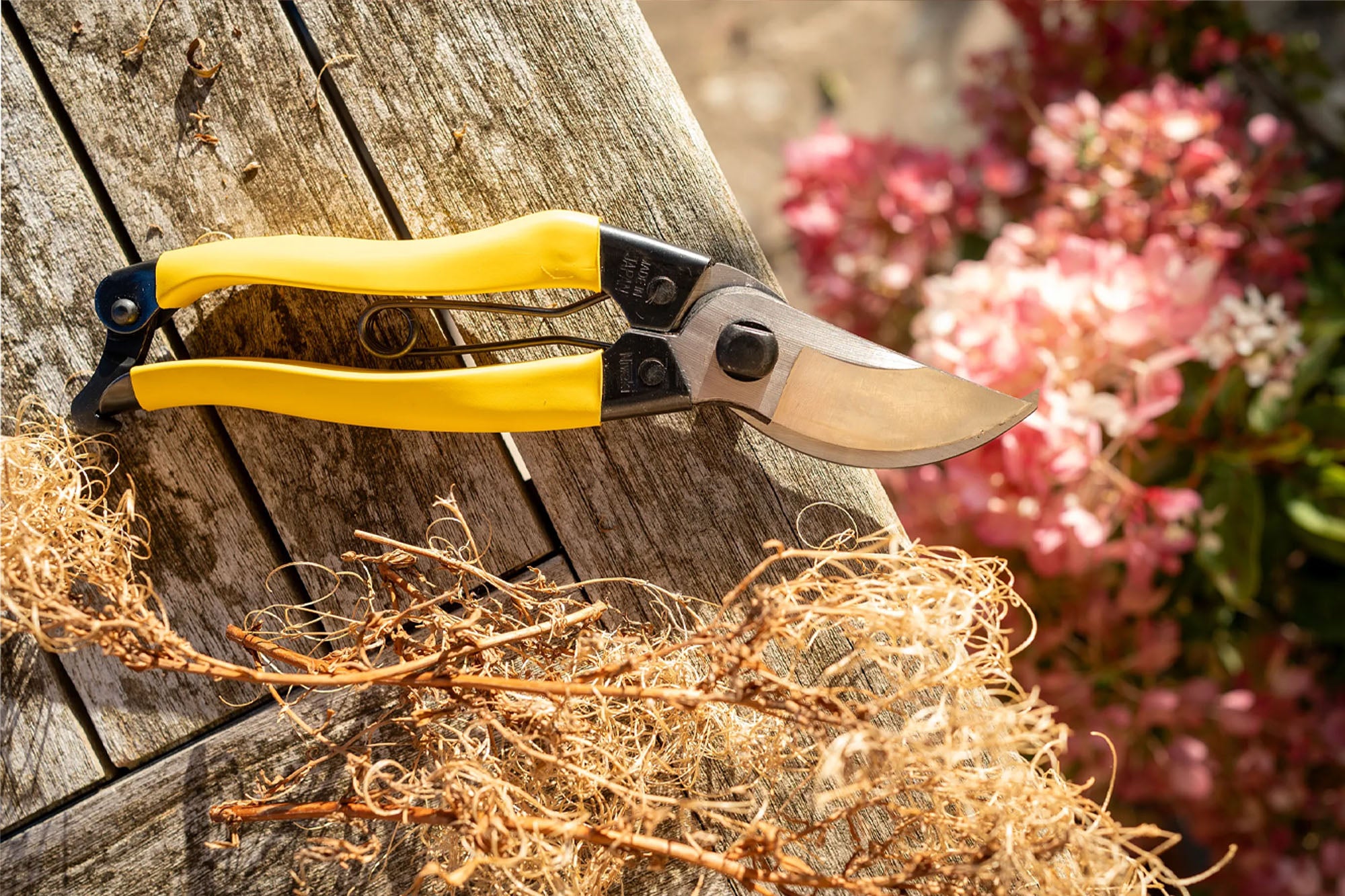 Niwaki - Mainichi Secateurs - BindleStore.