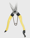 Mainichi Snips