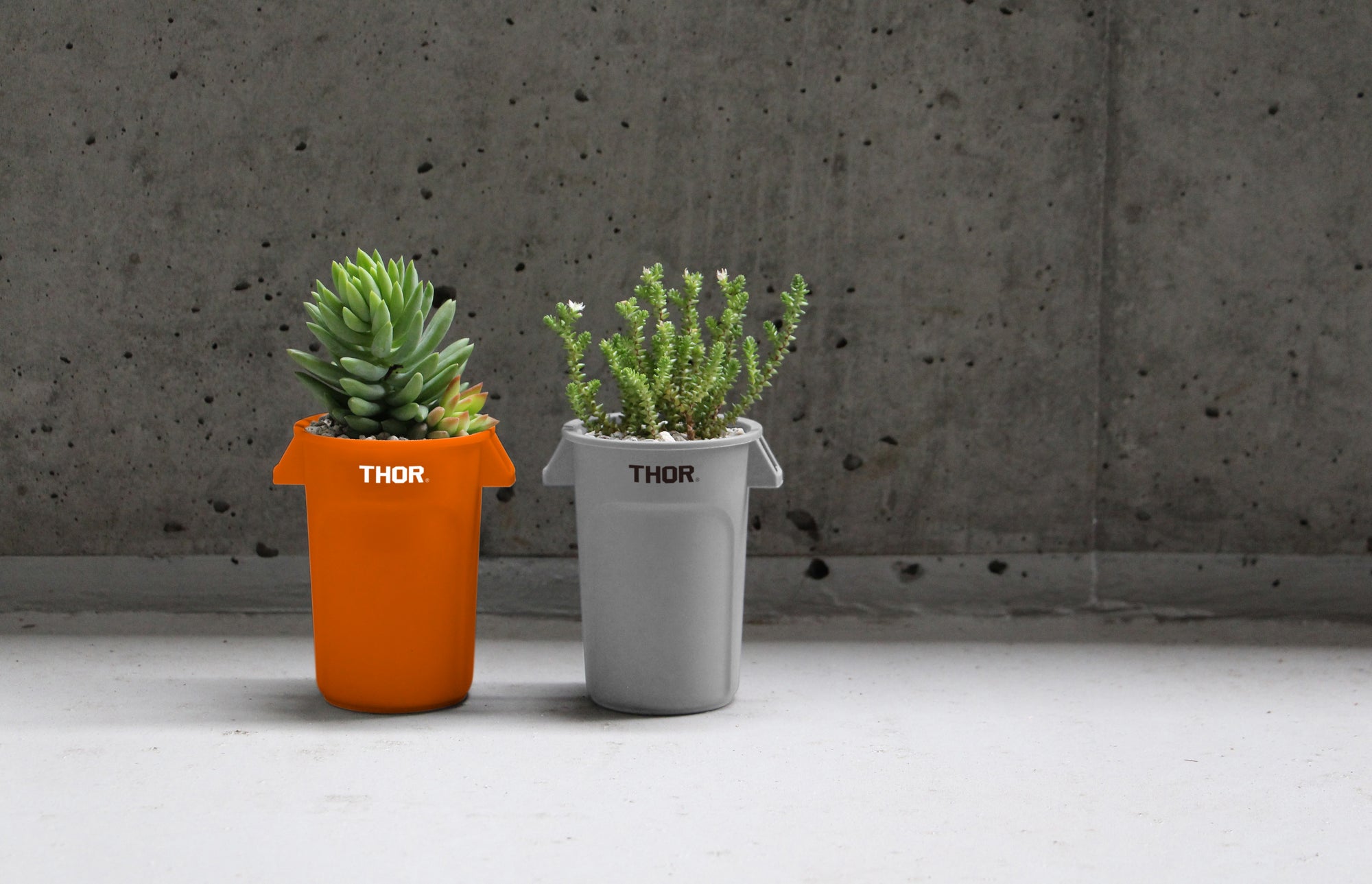 THOR - Mini Round Container [Orange] - BindleStore.