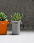 THOR - Mini Round Container [Orange] - BindleStore.