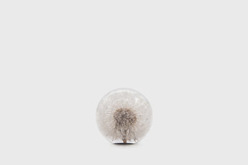 Dandelion Paperweight [Small] Desk Ornaments [Office & Stationery] Hafod Grange    Deadstock General Store, Manchester