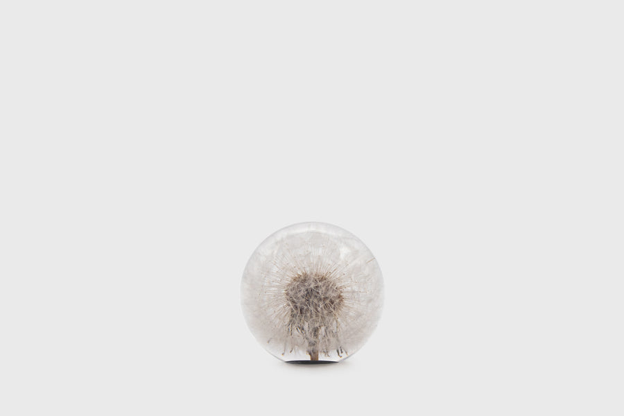 Dandelion Paperweight [Small] Desk Ornaments [Office & Stationery] Hafod Grange    Deadstock General Store, Manchester