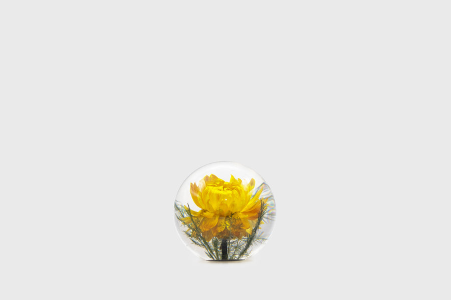Handmade Hafod Grange Helichrysum Flower in Botanical Resin Paperweight – BindleStore. (Deadstock General Store, Manchester)