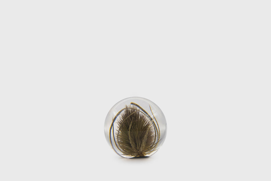 Teasel Paperweight [Small] Desk Ornaments [Office & Stationery] Hafod Grange    Deadstock General Store, Manchester