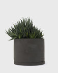 191 Plant Pot – 135mm [Dark Grey] Plants & Pots [Homeware] KINTO    Deadstock General Store, Manchester