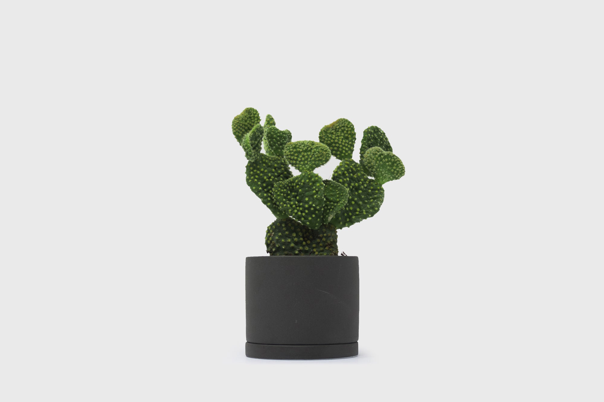 191 Plant Pot 85mm [Dark Grey] Plants & Pots [Homeware] KINTO    Deadstock General Store, Manchester