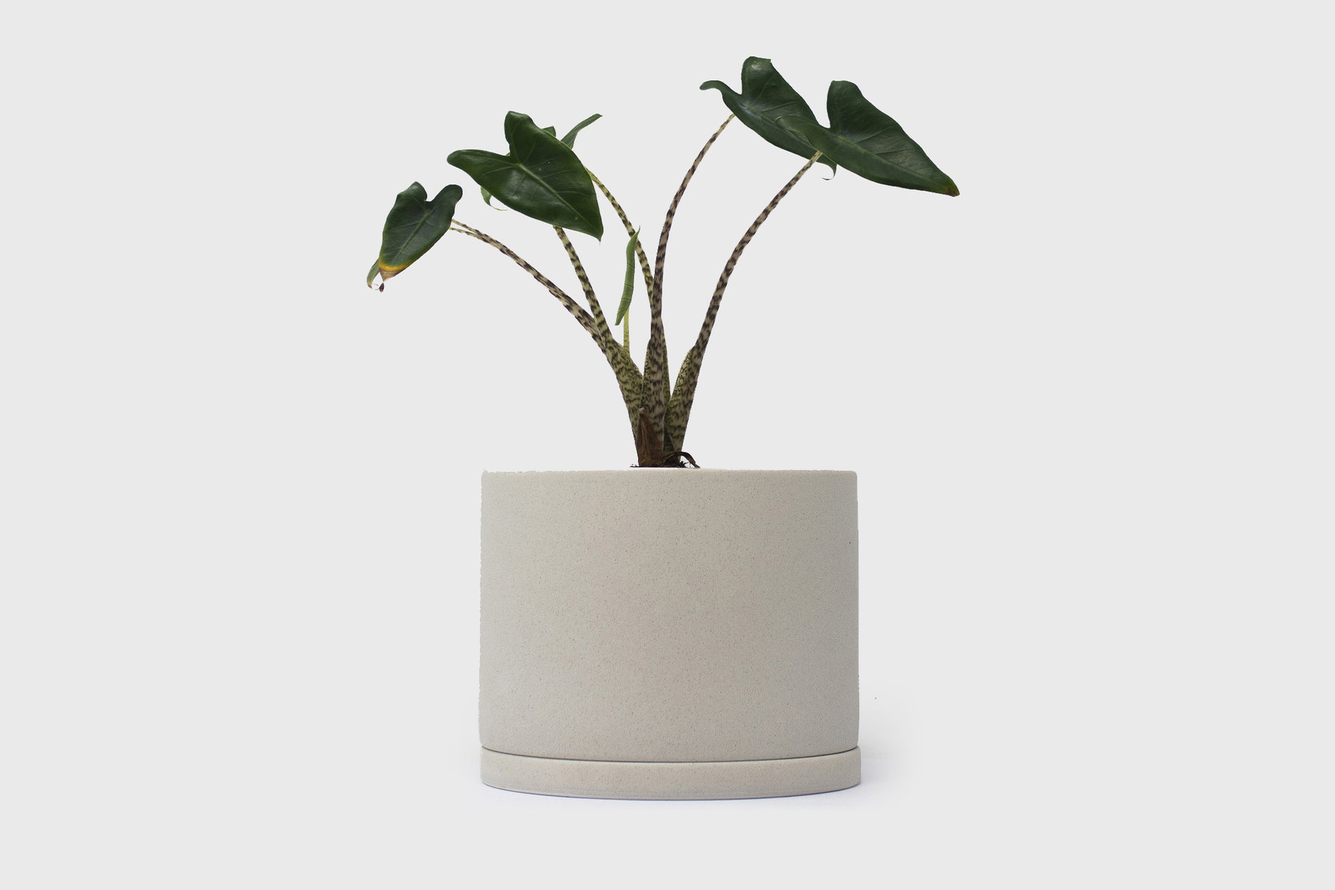 kinto plant pot 191 191 Plant Pot [135mm] Earth Grey