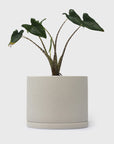 191 Plant Pot 135mm [Earth Grey] Plants & Pots [Homeware] KINTO    Deadstock General Store, Manchester