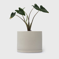 191 Plant Pot 135mm [Earth Grey] Plants & Pots [Homeware] KINTO    Deadstock General Store, Manchester