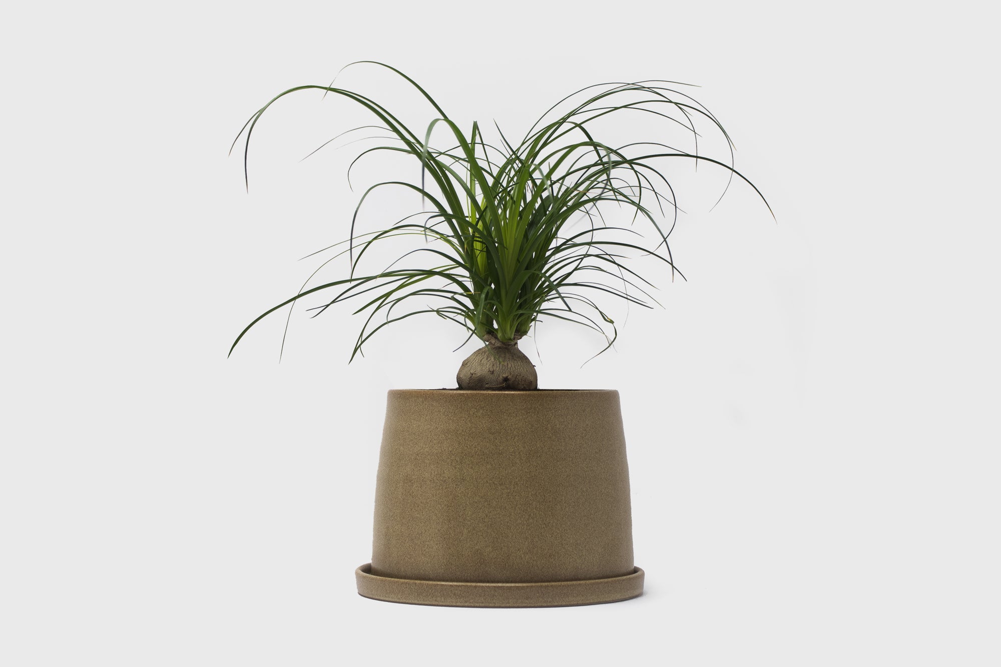 192 Plant Pot 125mm [Beige] Plants & Pots [Homeware] KINTO    Deadstock General Store, Manchester