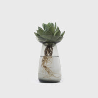 Aqua Culture Vase [Large]
