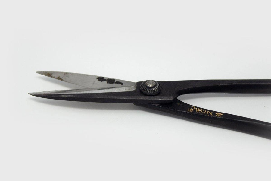 Close up short scissor blades with engraved Japanese characters on grey background