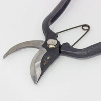 Close up secateur blades with black metal handle and spring mechanism on grey background